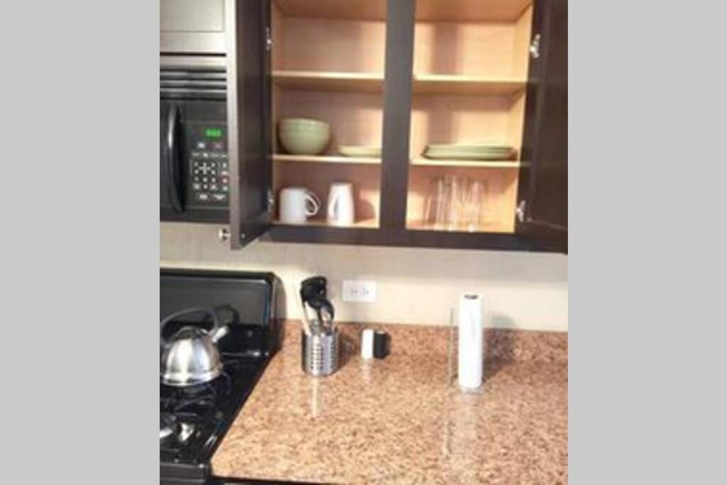 Entire Modern 2 Bedroom Apartment Chicago Ngoại thất bức ảnh